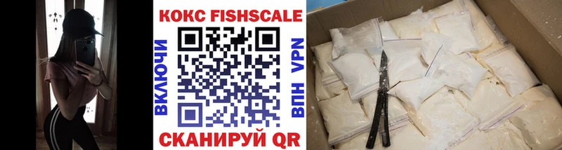 хочу   Горбатов  hydra ссылка  COCAIN Fish Scale 