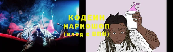 прущий лед Алзамай