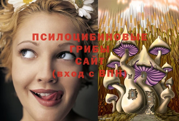 гидропоника Абинск