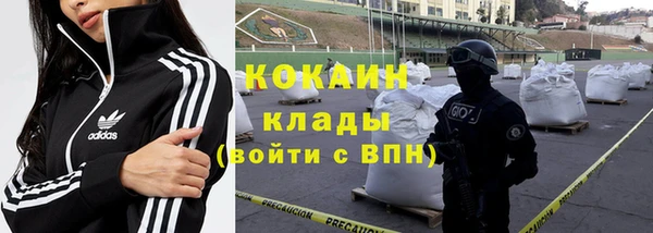 прущий лед Алзамай